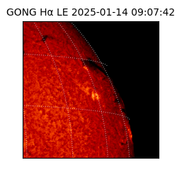 gong - 2025-01-14T09:07:42