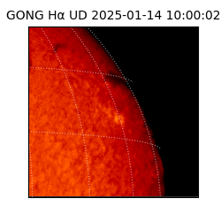 gong - 2025-01-14T10:00:02