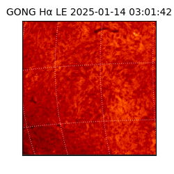 gong - 2025-01-14T03:01:42