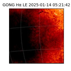 gong - 2025-01-14T05:21:42