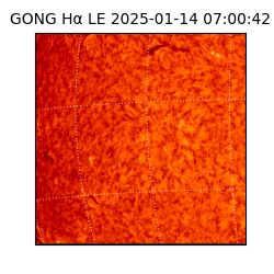 gong - 2025-01-14T07:00:42