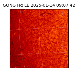 gong - 2025-01-14T09:07:42