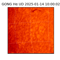 gong - 2025-01-14T10:00:02
