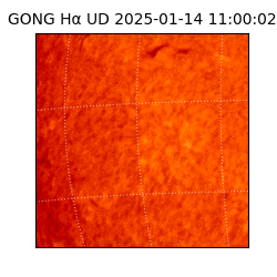 gong - 2025-01-14T11:00:02