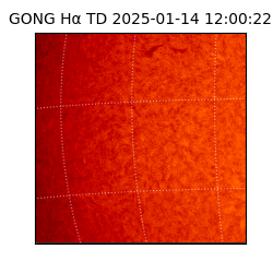 gong - 2025-01-14T12:00:22