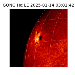 gong - 2025-01-14T03:01:42