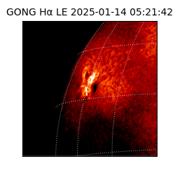 gong - 2025-01-14T05:21:42