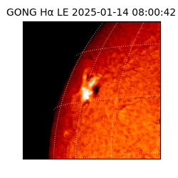 gong - 2025-01-14T08:00:42