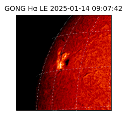 gong - 2025-01-14T09:07:42