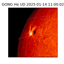 gong - 2025-01-14T11:00:02