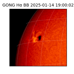 gong - 2025-01-14T19:00:02