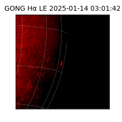 gong - 2025-01-14T03:01:42