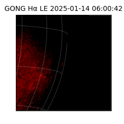 gong - 2025-01-14T06:00:42