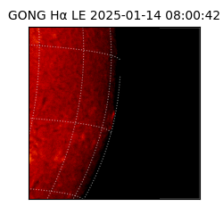 gong - 2025-01-14T08:00:42