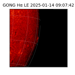 gong - 2025-01-14T09:07:42