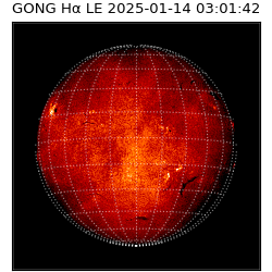 gong - 2025-01-14T03:01:42