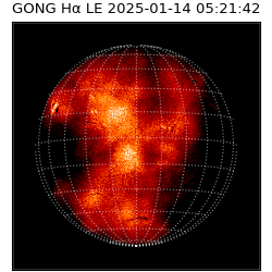 gong - 2025-01-14T05:21:42