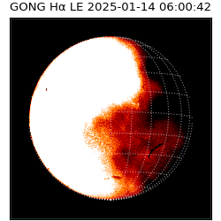 gong - 2025-01-14T06:00:42