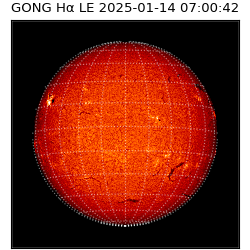 gong - 2025-01-14T07:00:42