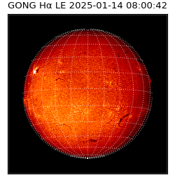 gong - 2025-01-14T08:00:42