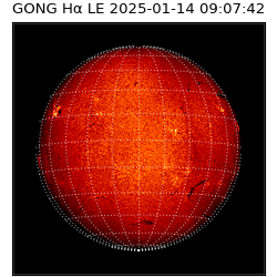 gong - 2025-01-14T09:07:42
