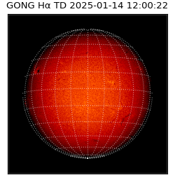 gong - 2025-01-14T12:00:22