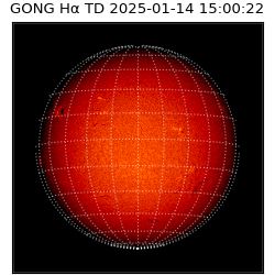 gong - 2025-01-14T15:00:22