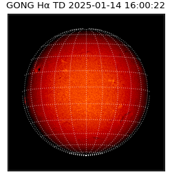 gong - 2025-01-14T16:00:22