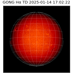 gong - 2025-01-14T17:02:22