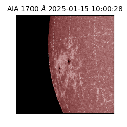 saia - 2025-01-15T10:00:28.718000