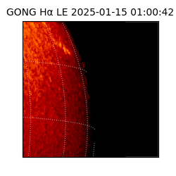 gong - 2025-01-15T01:00:42