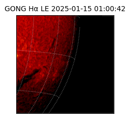 gong - 2025-01-15T01:00:42