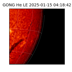 gong - 2025-01-15T04:18:42