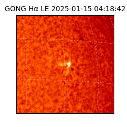 gong - 2025-01-15T04:18:42