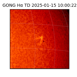 gong - 2025-01-15T10:00:22