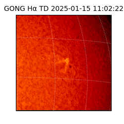 gong - 2025-01-15T11:02:22