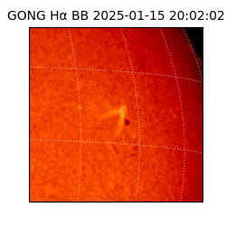 gong - 2025-01-15T20:02:02