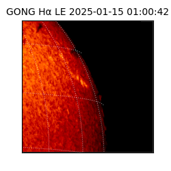 gong - 2025-01-15T01:00:42