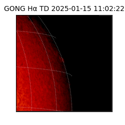 gong - 2025-01-15T11:02:22