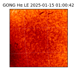 gong - 2025-01-15T01:00:42