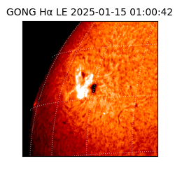 gong - 2025-01-15T01:00:42