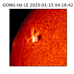 gong - 2025-01-15T04:18:42
