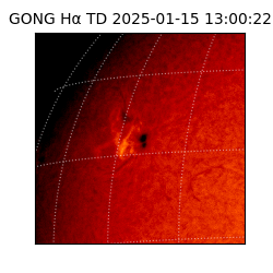 gong - 2025-01-15T13:00:22