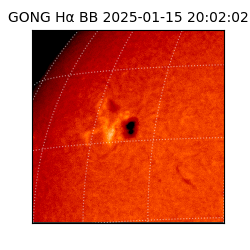 gong - 2025-01-15T20:02:02