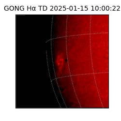gong - 2025-01-15T10:00:22