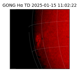 gong - 2025-01-15T11:02:22