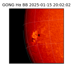 gong - 2025-01-15T20:02:02
