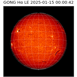 gong - 2025-01-15T00:00:42