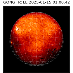 gong - 2025-01-15T01:00:42