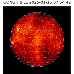 gong - 2025-01-15T07:54:42